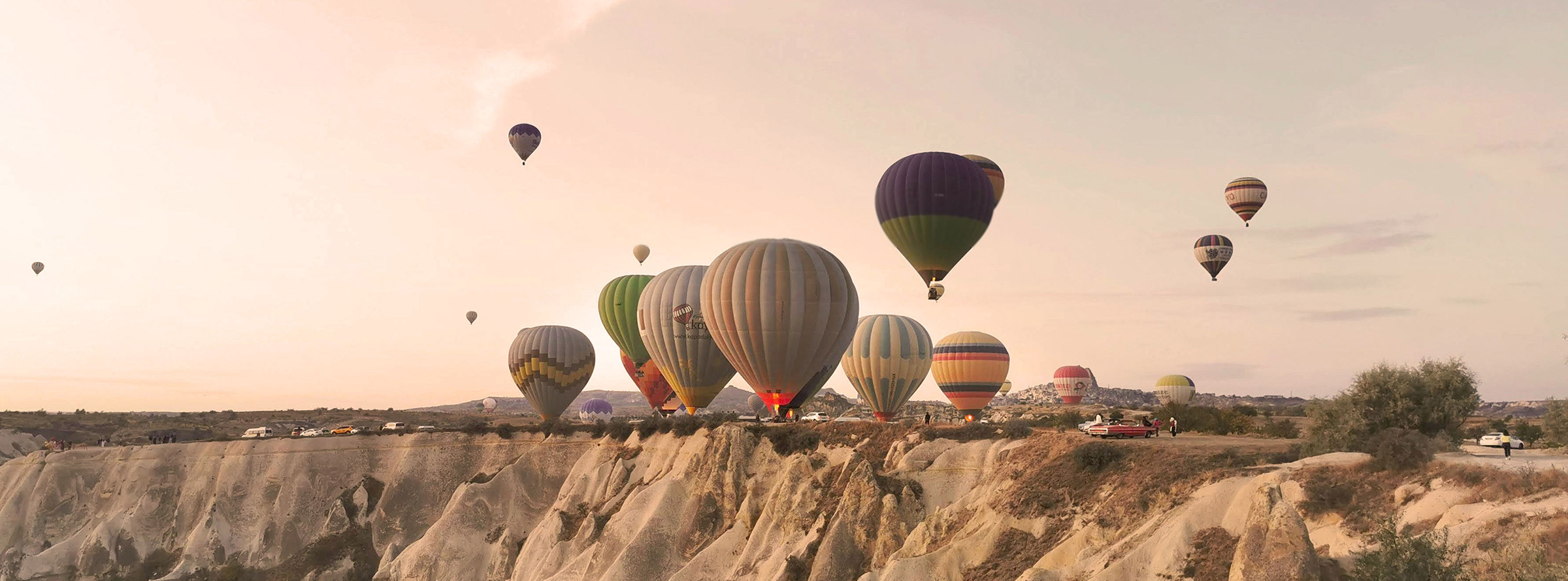 Header image