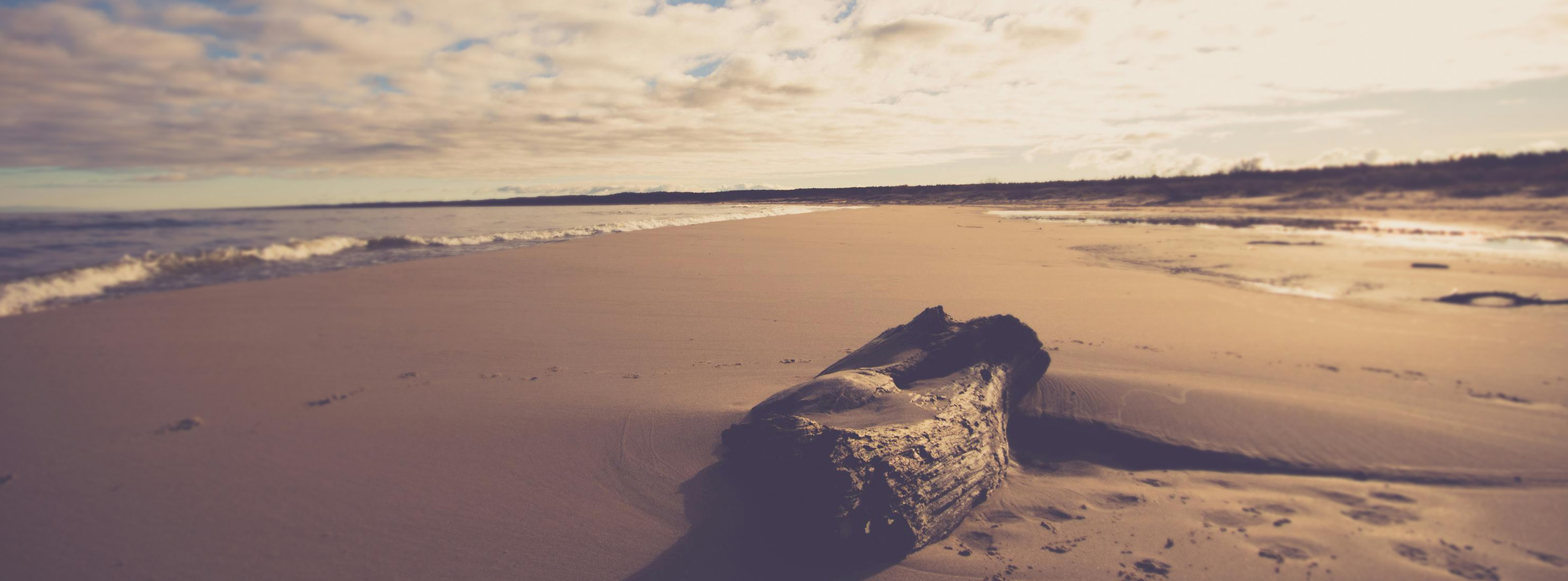 Header image